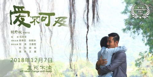 爱不可及,探寻爱不可及的奇迹